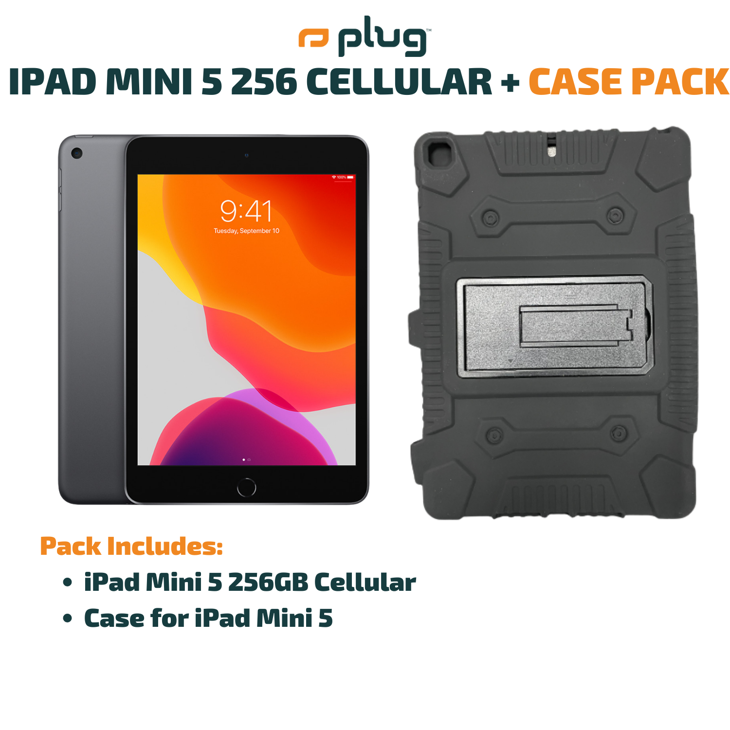 iPad Mini 5 256GB Cellular + Case Pack